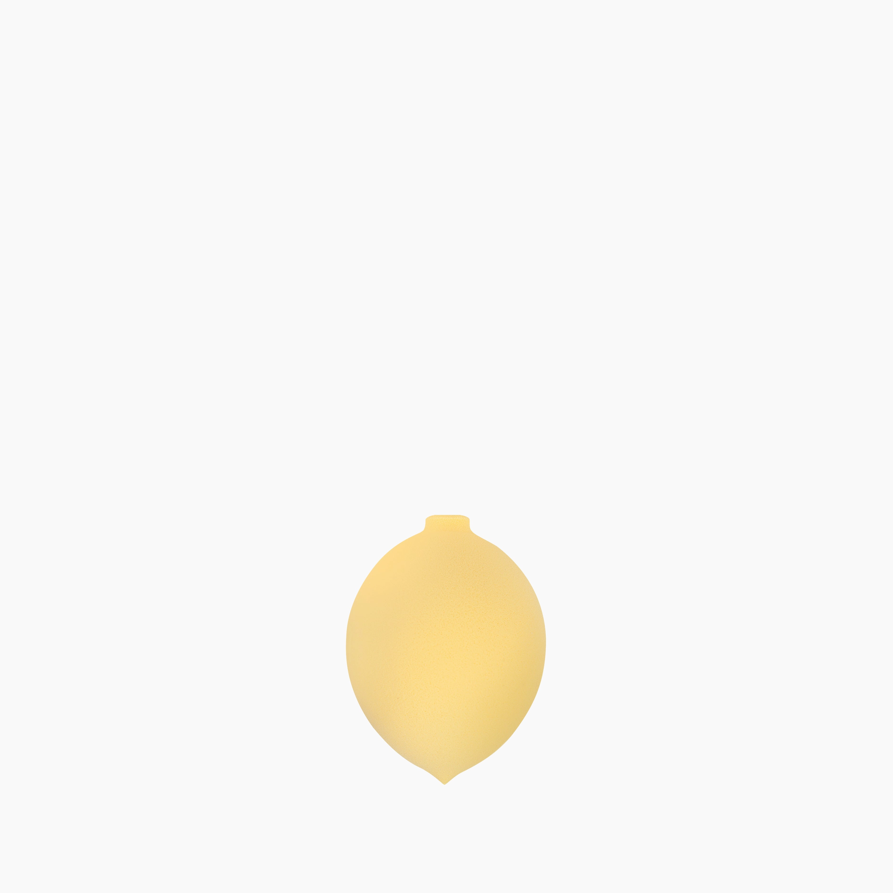 Blending Sponge