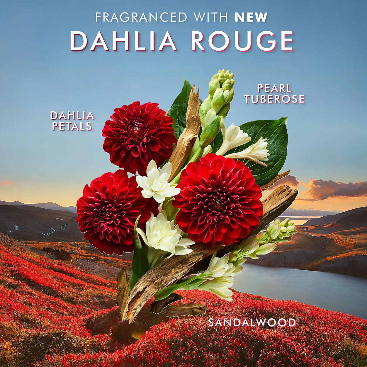 Dahlia Rouge Hand Cream