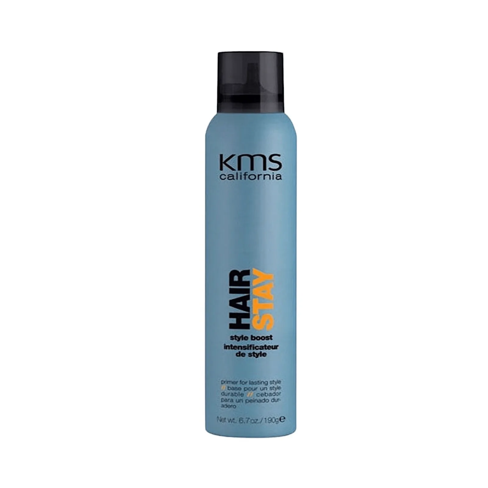 Hair Stay Style Boost
