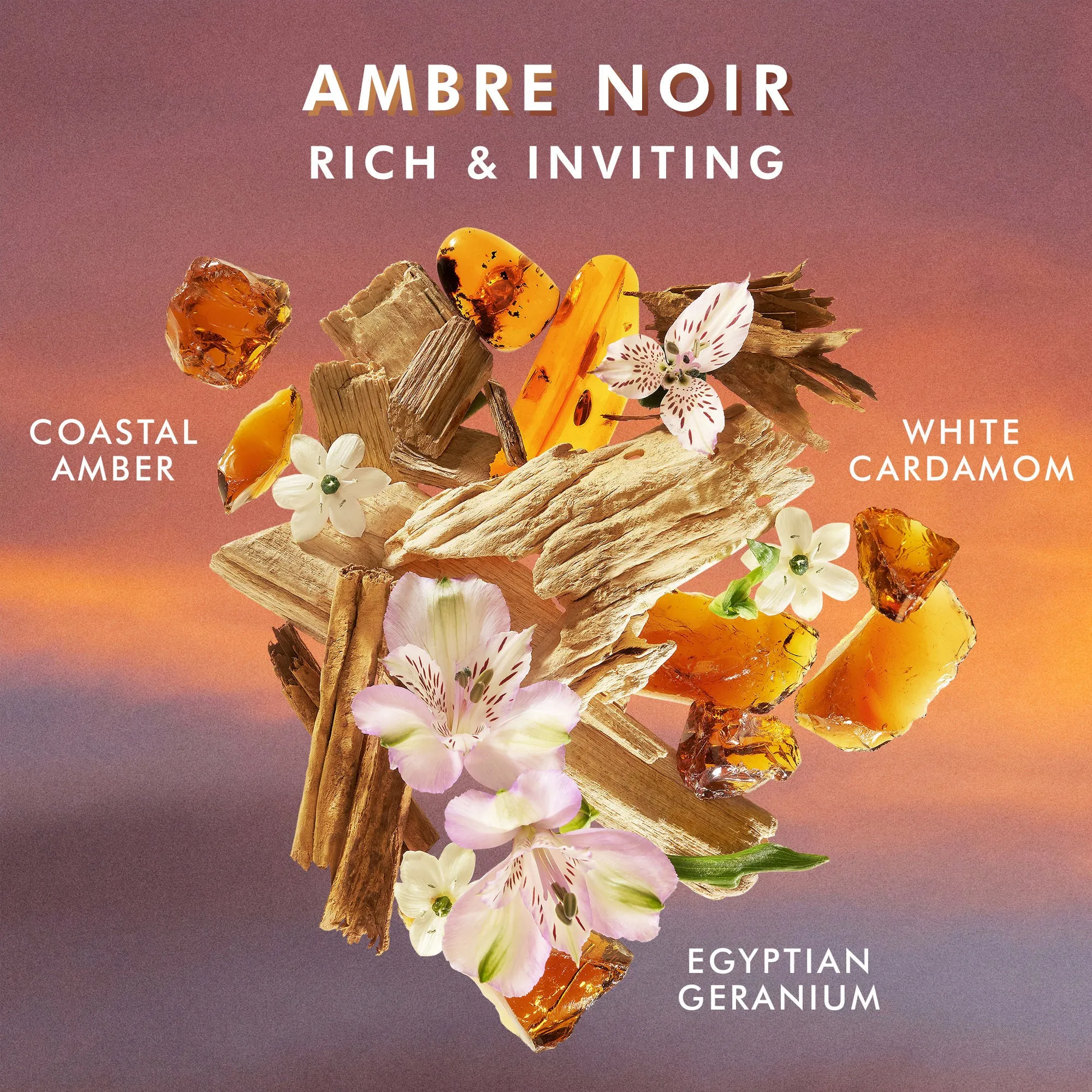 Hand Cream Ambre Noir