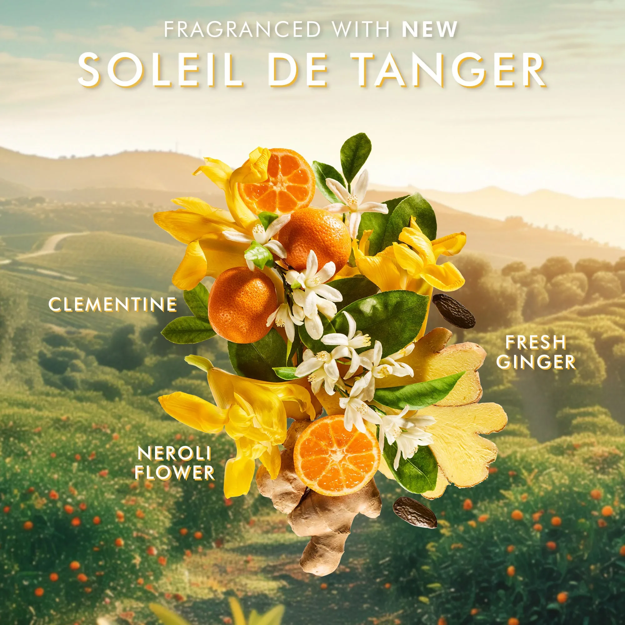 Hand Cream Soleil de Tanger