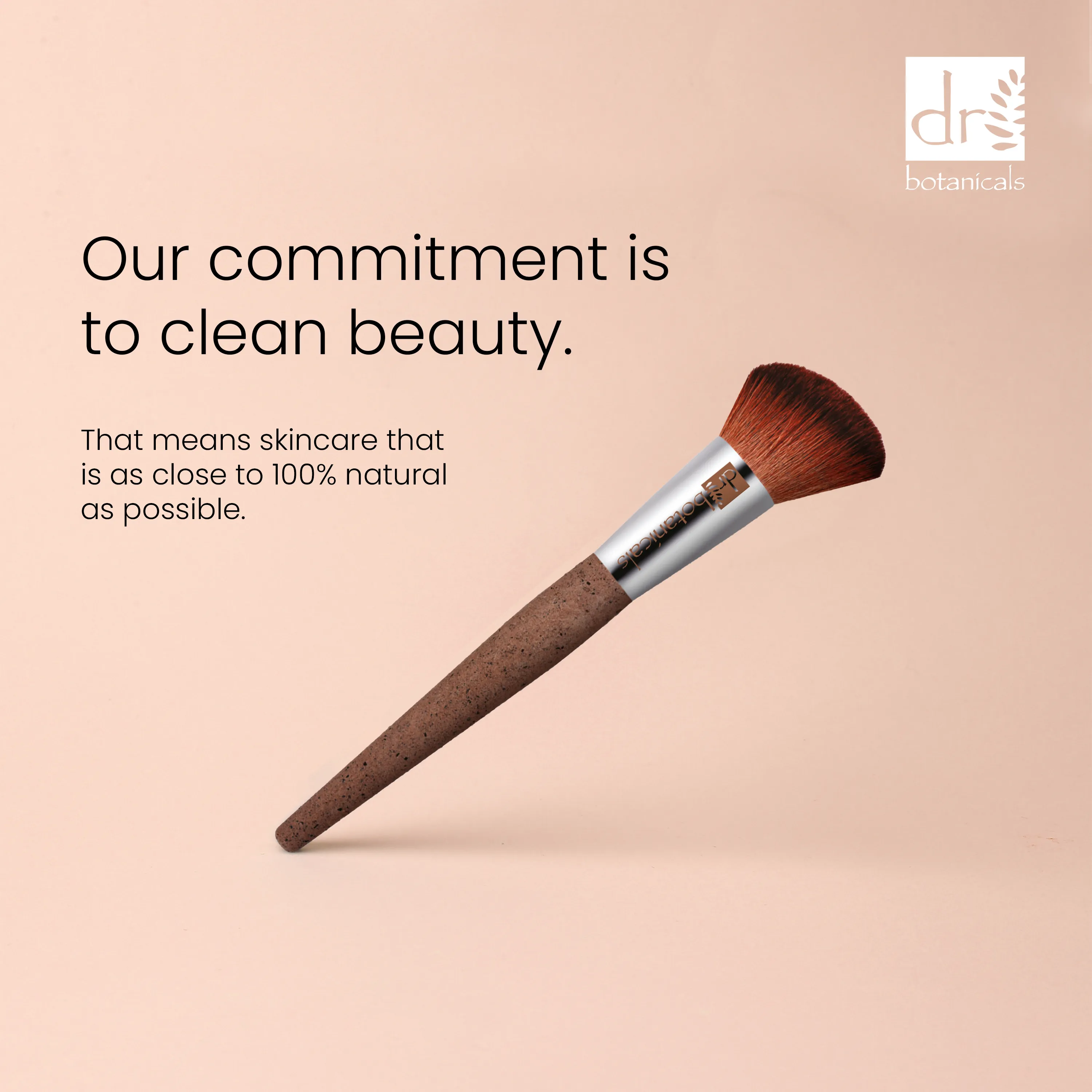 Make Up Brushes Kit