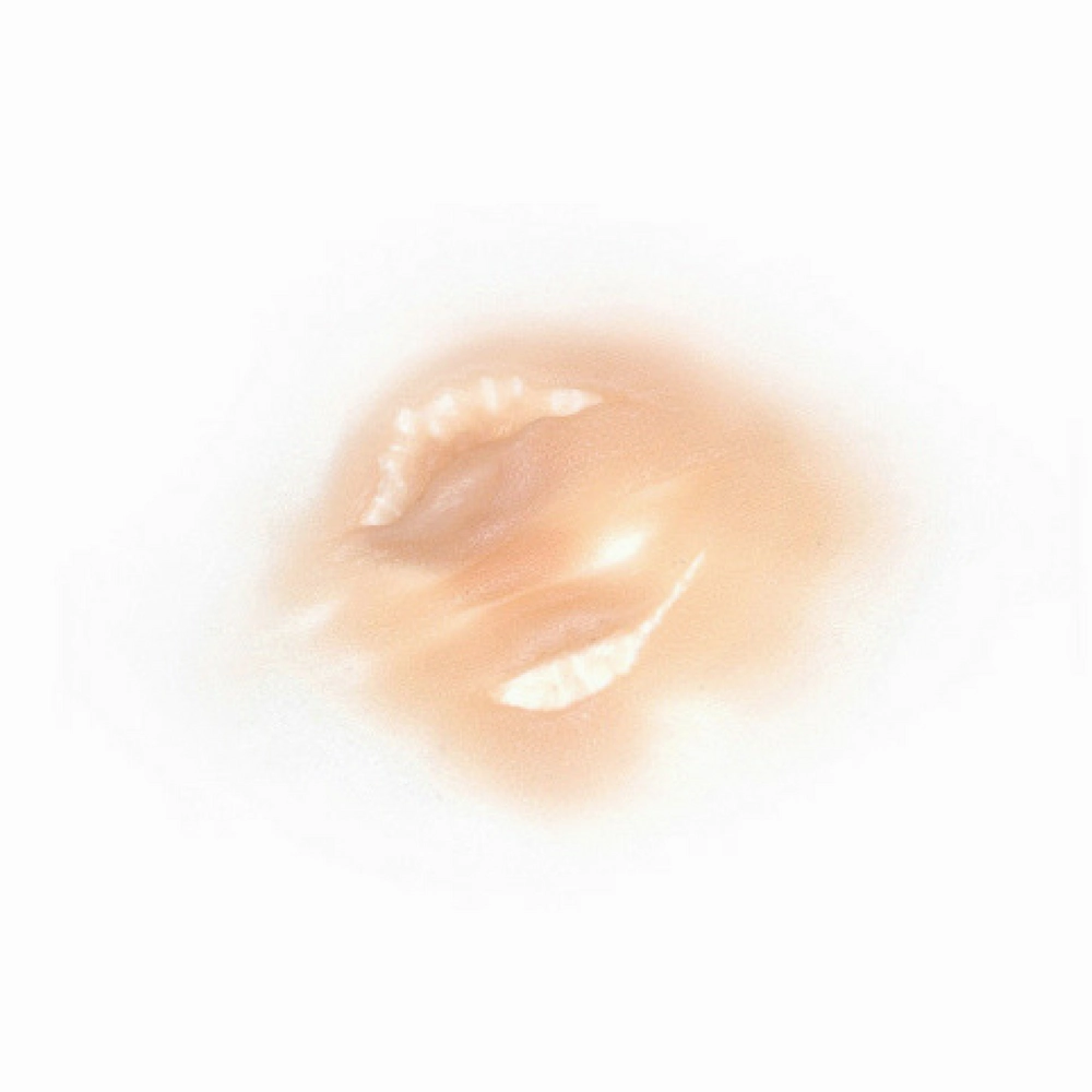 Out of Kit Bite (Small)